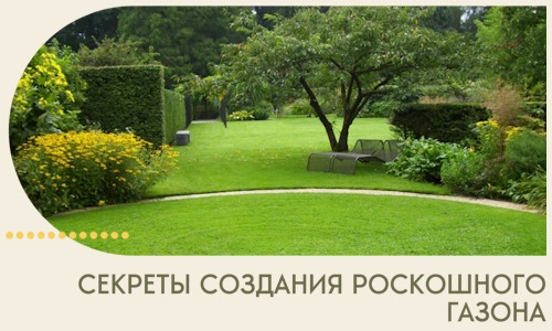 Секреты создания роскошного газона в Воскресенске