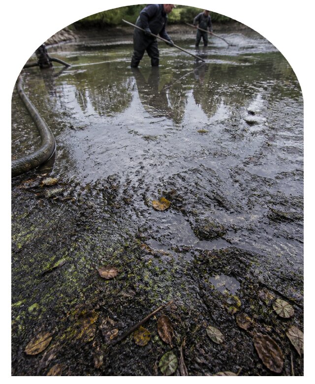 Очистка пруда в Воскресенске от ила мусора и водорослей с вывозом